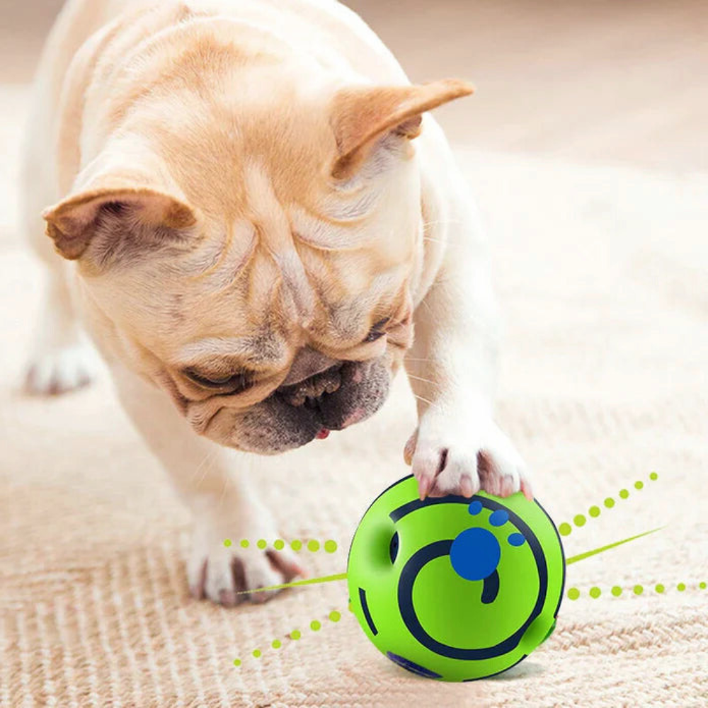 WobbleJoy | Interactive Dog Ball