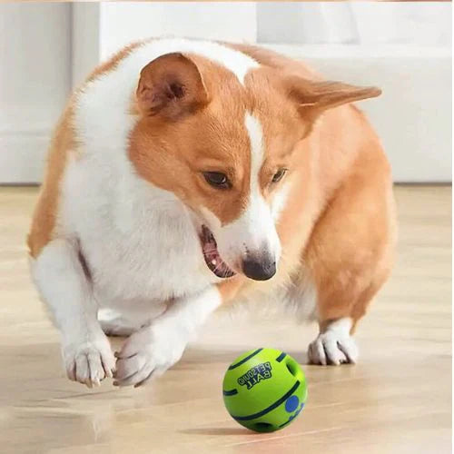 WobbleJoy | Interactive Dog Ball