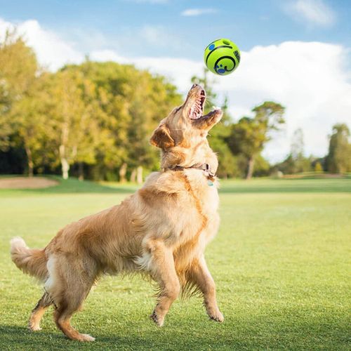 WobbleJoy | Interactive Dog Ball