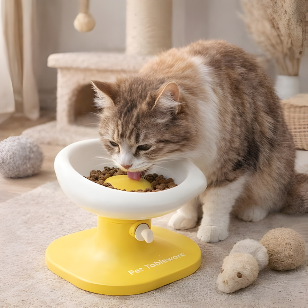YolkRise │ Adjustable Ergonomic Cat Feeding Bowl for Clean Comfortable Meals