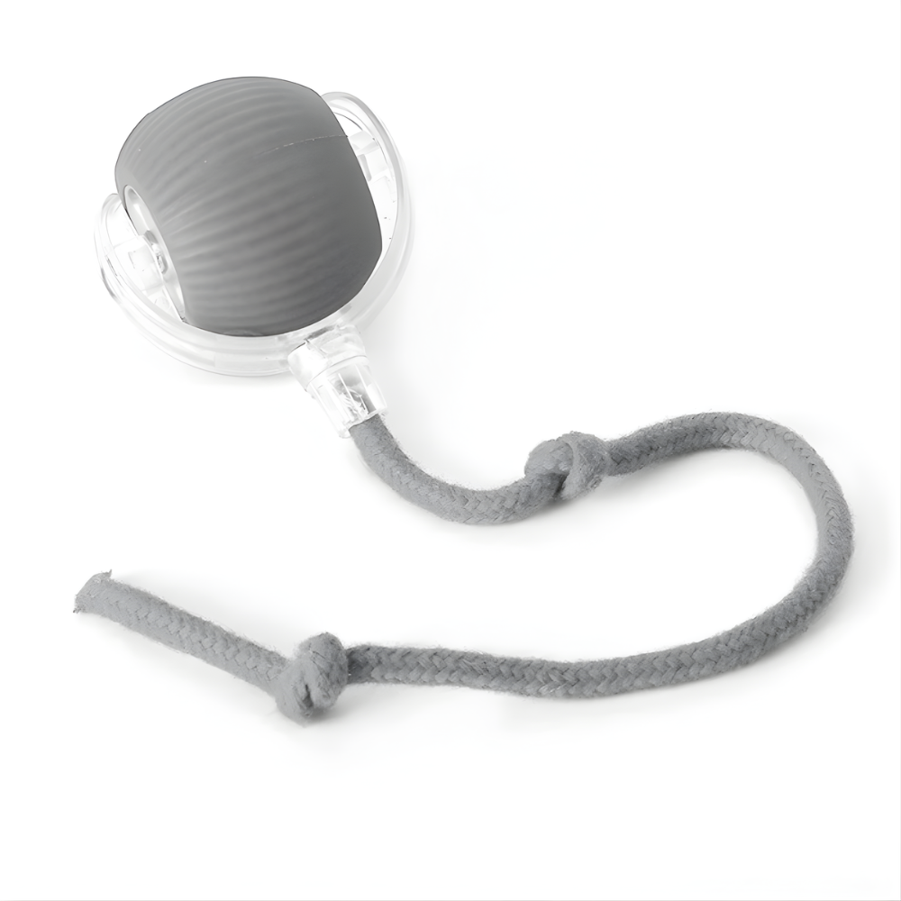 ZoomTether | Interactive Dog Chase Toy