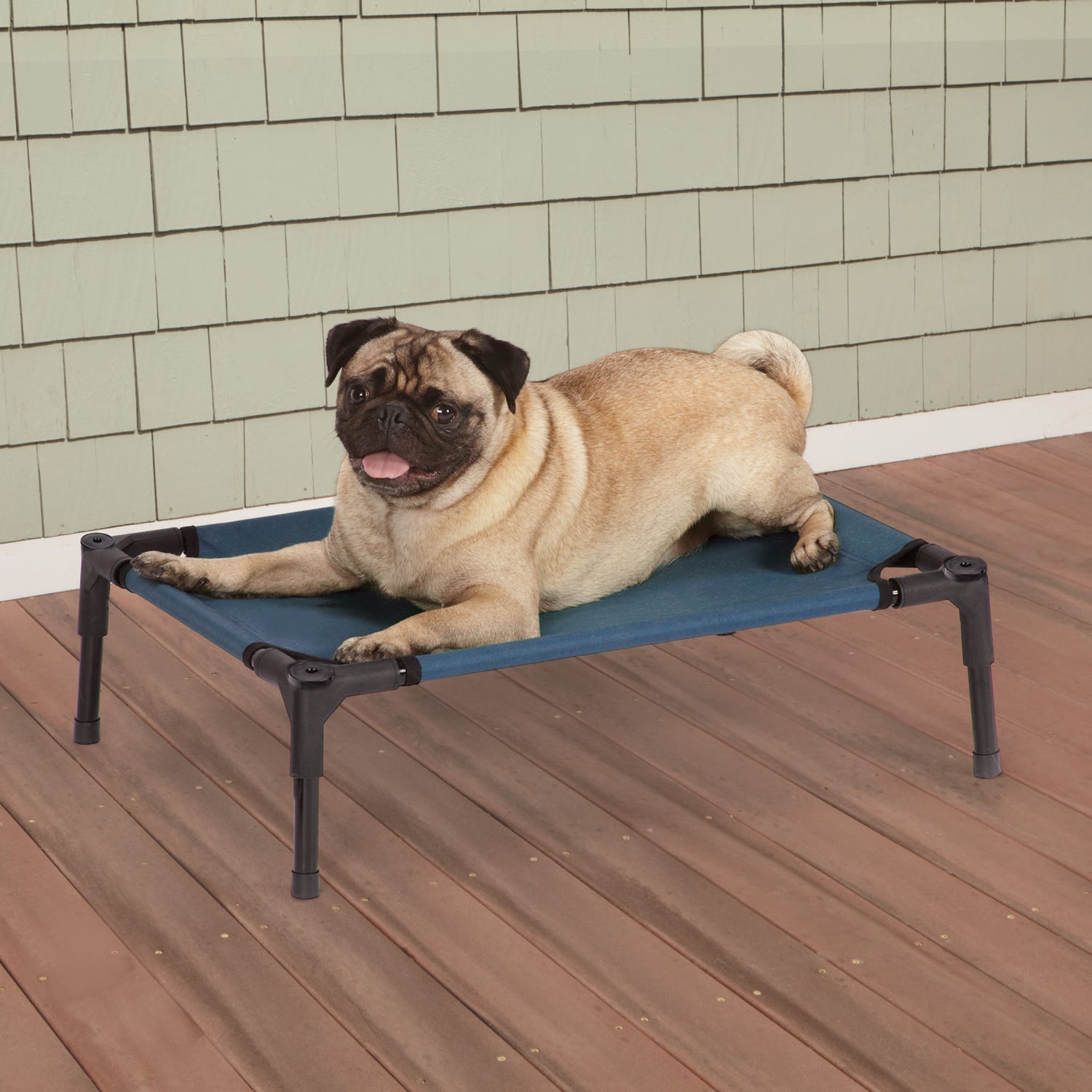 Guardian Gear Elevated Pet Cot – Blue Medium Durable Outdoor Dog Bed