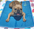 The Green Pet Shop Cool Pet Pad – Pressure-Activated Cooling Mat, XL