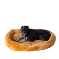 Armarkat Bolstered Dog Bed – Ultra-Soft Pet Mat, 43"L x 30"W x 6"H