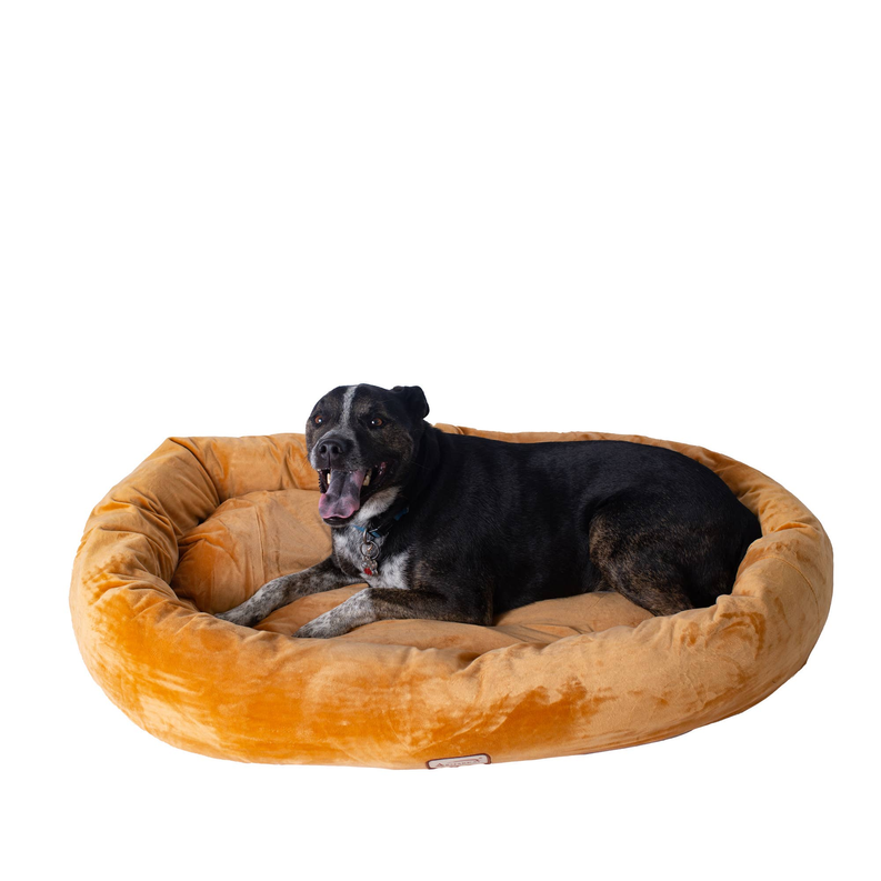 Armarkat Bolstered Dog Bed – Ultra-Soft Pet Mat, 43"L x 30"W x 6"H